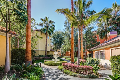 a courtyard with palm trees and a fountain